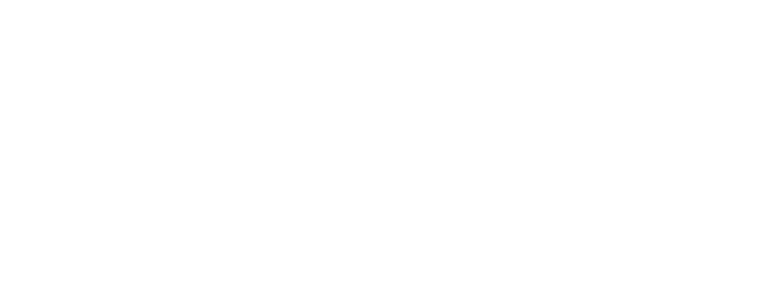 FEIfang eSport Logo